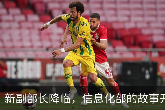 新副部长降临，信息化部的故事开启新篇章！