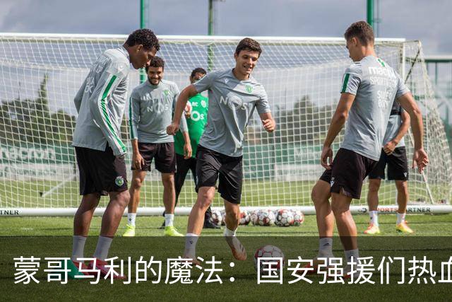 蒙哥马利的魔法：国安强援们热血复苏，赛场如春天般欢快
